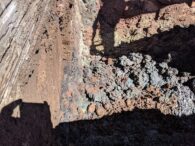 How Many Soil Samples Do Contractors Provide?