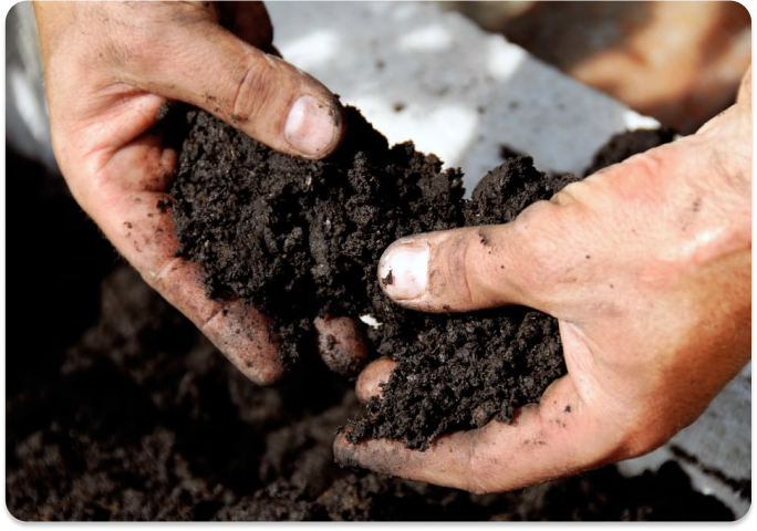 What Is Soil Remediation and Why Is It Important?