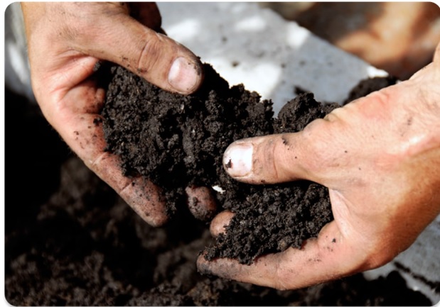 The Crucial Role of Soil Remediation in Environmental Conservation