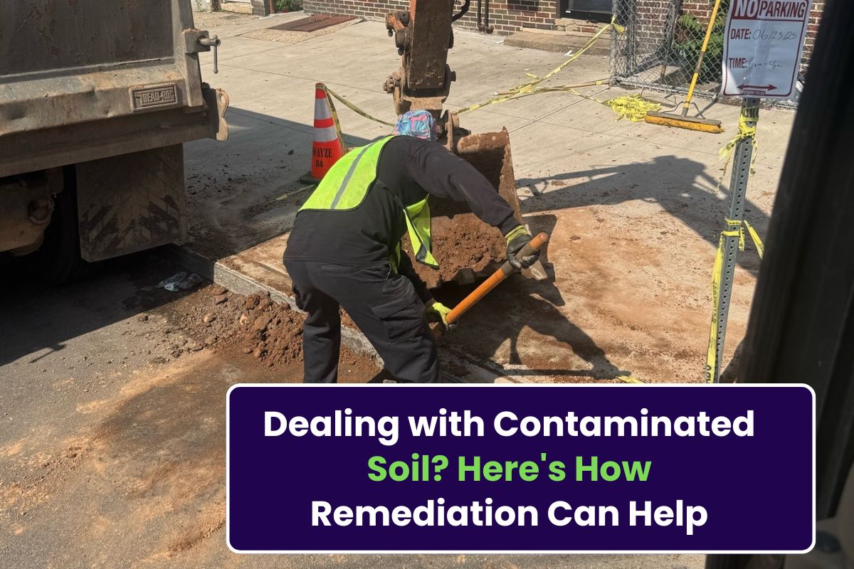 Dealing with Contaminated Soil? Here’s How Remediation Can Help